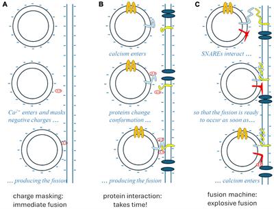 Old innovations and shifted paradigms in cellular neuroscience